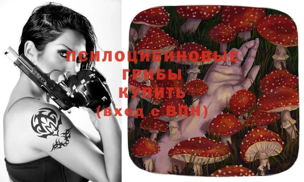 jwh Зеленодольск